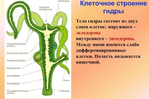 Кракен работает