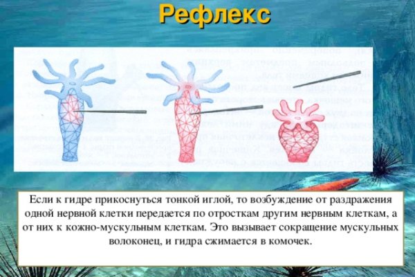 Как найти официальный сайт кракен